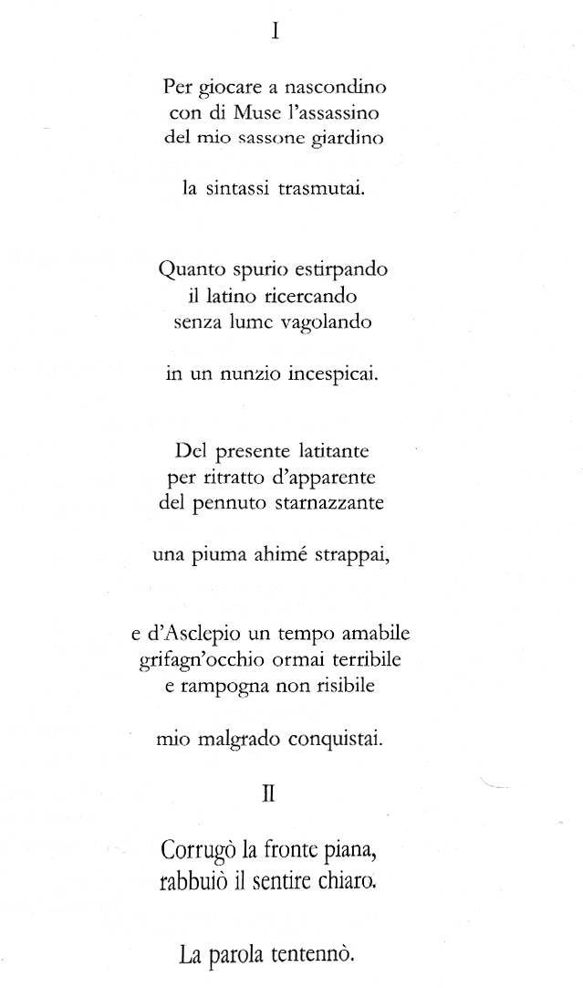 Immagine