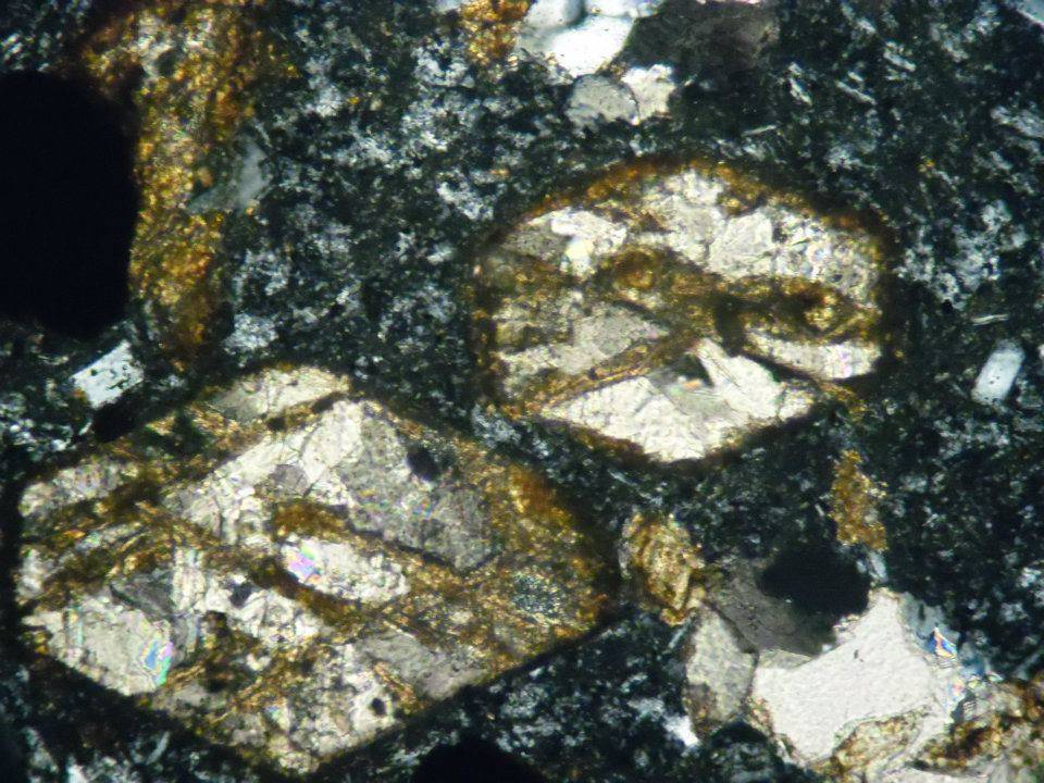 geolog��a