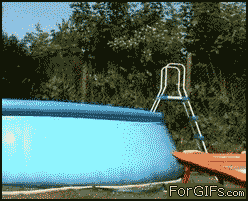 Animowane gify #44 24