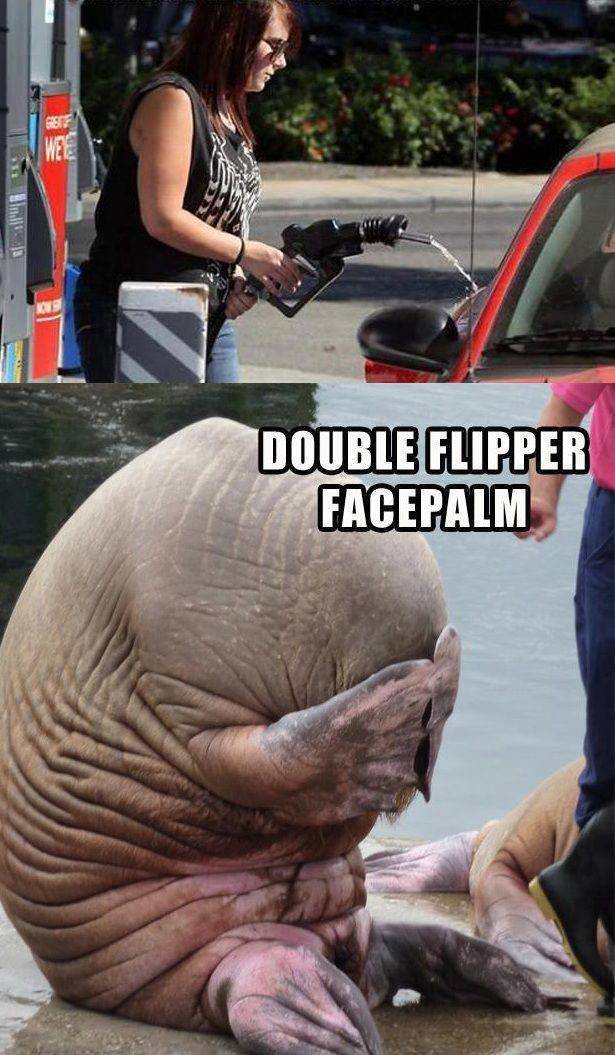 Facepalm 12