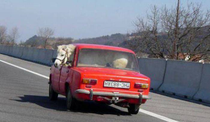 Jak to przewieźć? 16