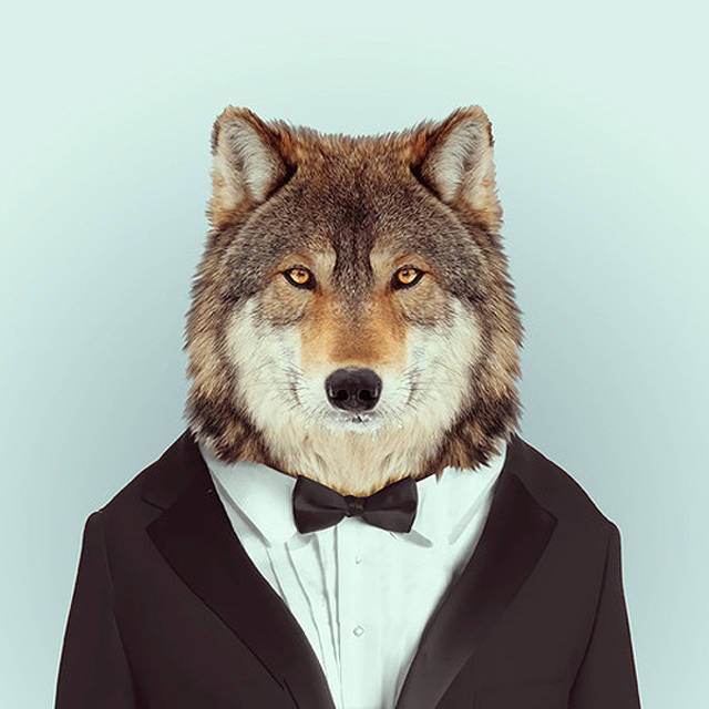 Immagine