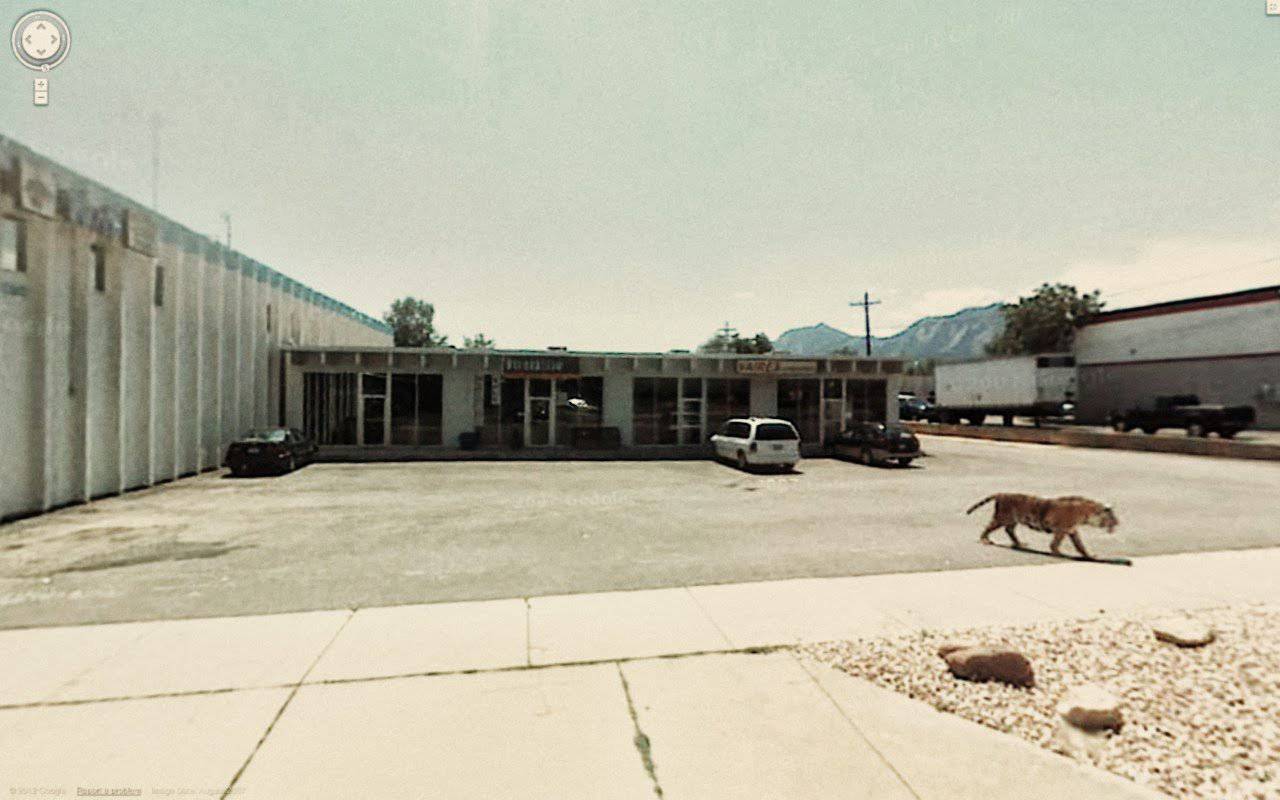 1280x800 Najdziwniejsze zdjęcia z Google Street View #4 13