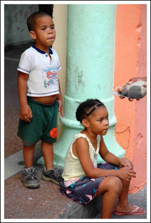 Niños Niños