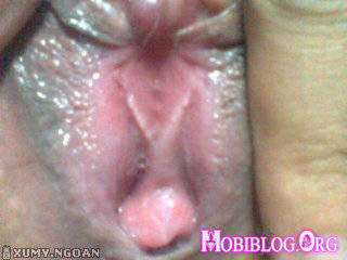 © Mobiblog.Org