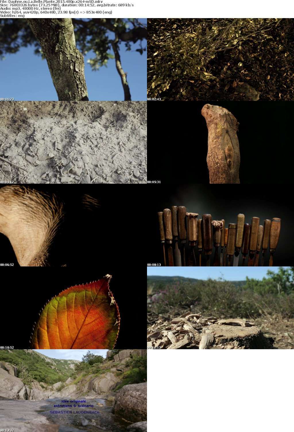 Daphne ou La Belle Plante 2015 480p x264-mSD Daphne ou La Belle Plante 2015 480p x264-mSD