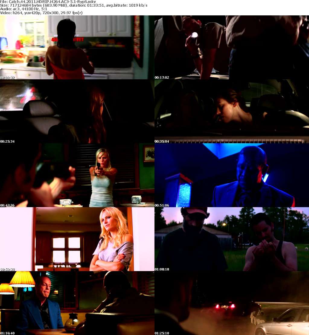 Catch 44 2011 HDRIP H264 AC3-5 1-RypS Catch 44 2011 HDRIP H264 AC3-5 1-RypS
