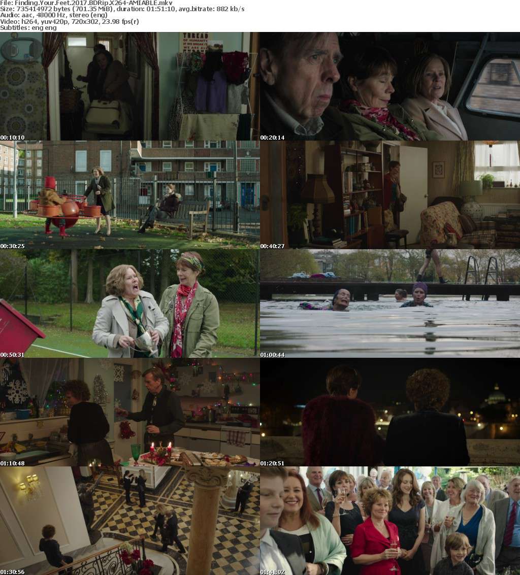 Finding Your Feet (2017) BDRip X264-AMIABLE