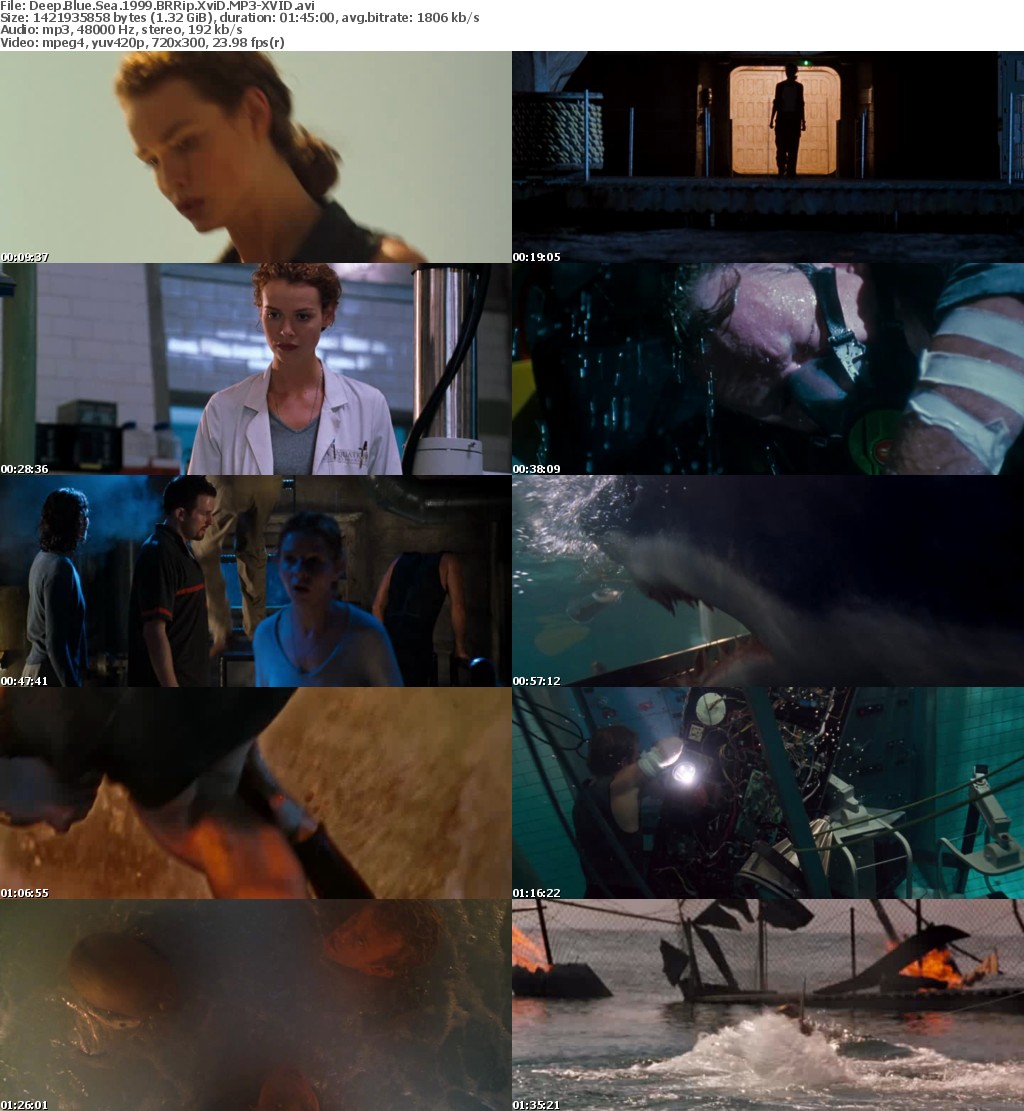 Deep Blue Sea 1999 BRRip XviD MP3-XVID Deep Blue Sea 1999 BRRip XviD MP3-XVID