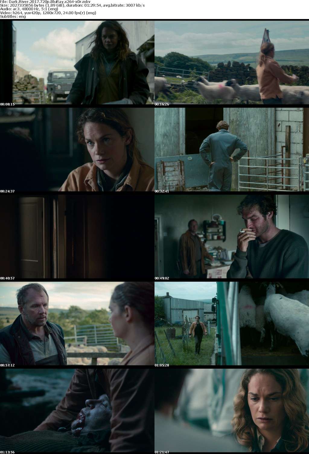 Dark River (2017) 720p BluRay x264-x0r