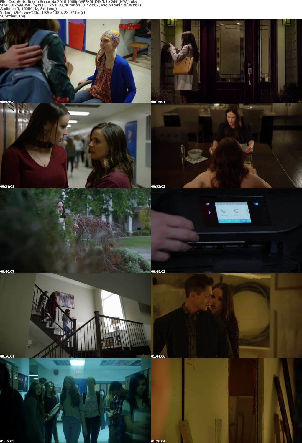 Counterfeiting in Suburbia (2018) 1080p WEB-DL DD 5.1 x264 MW