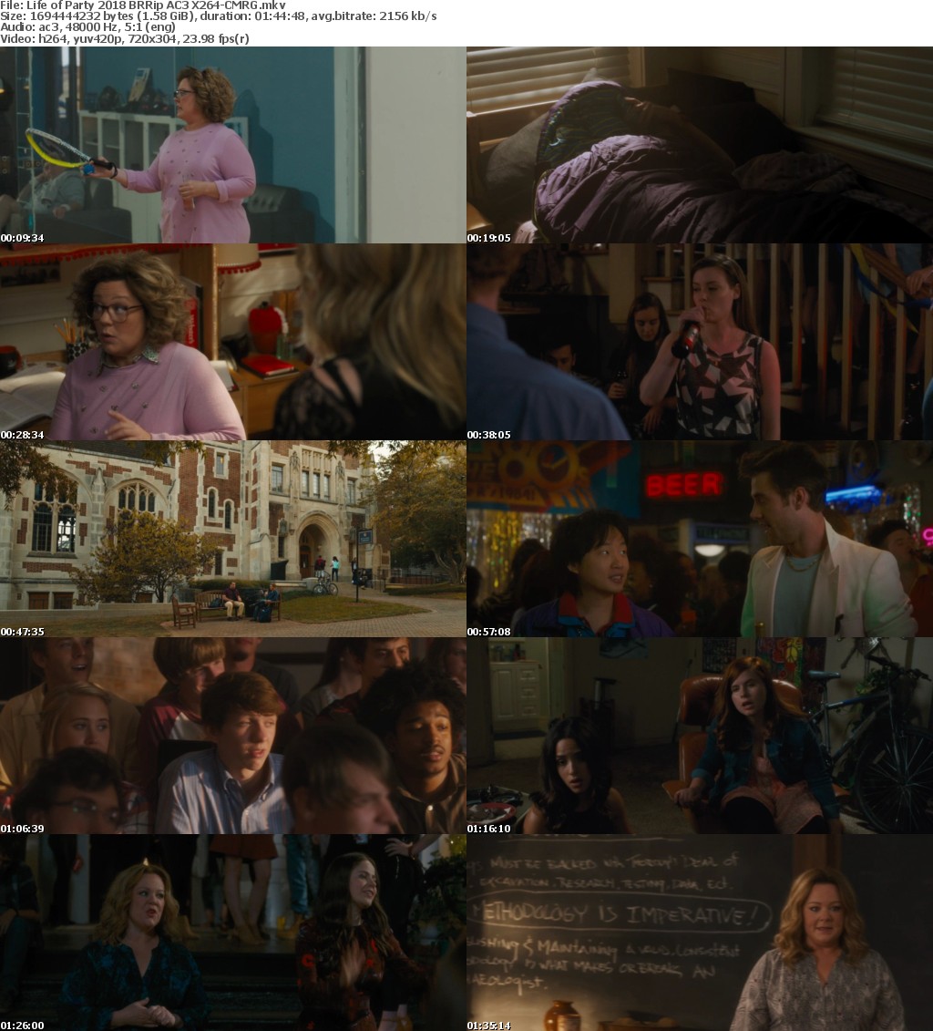 Life of Party (2018) BRRip AC3 X264-CMRG