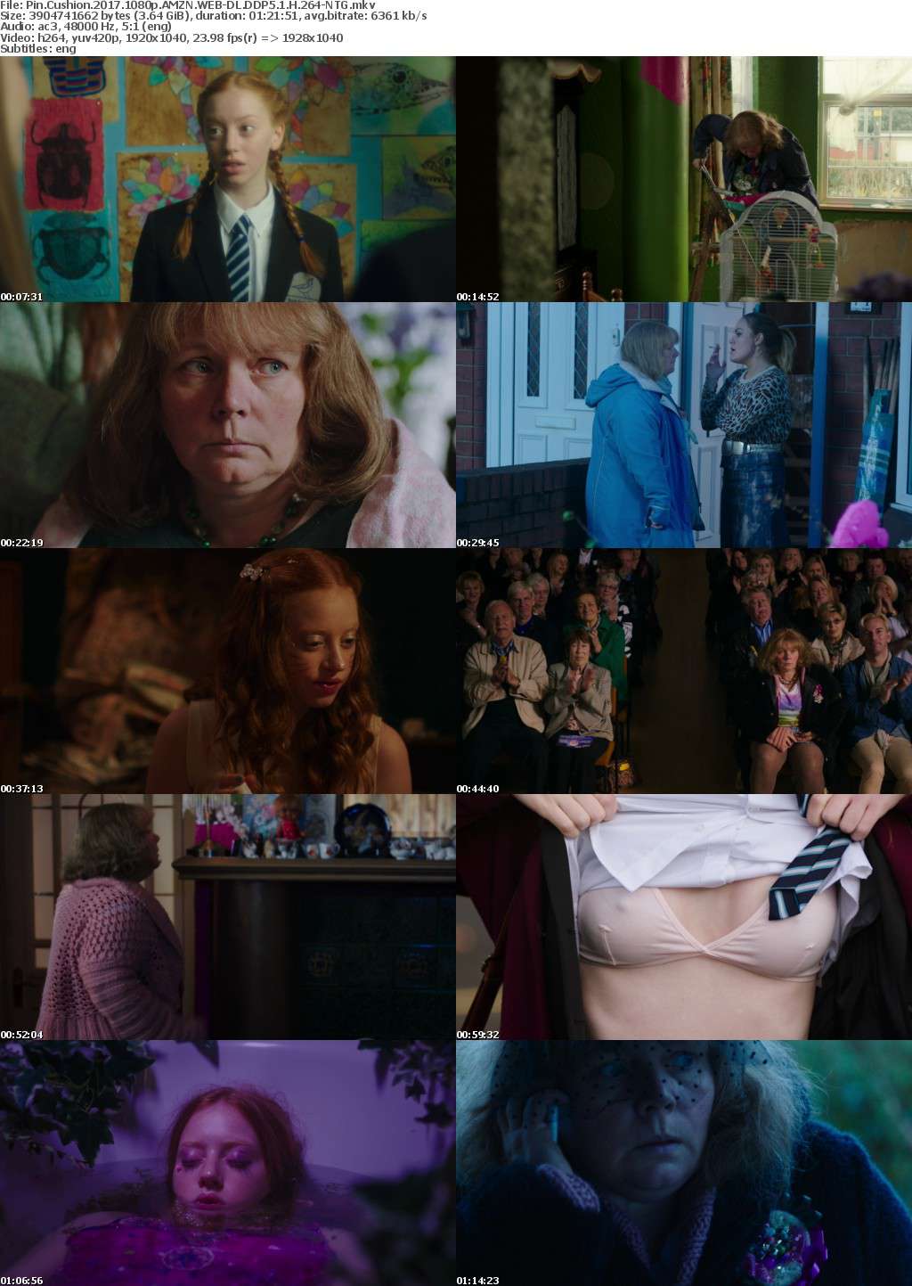 Pin Cushion (2017) 1080p AMZN WEBRip DDP5.1 x264-NTG