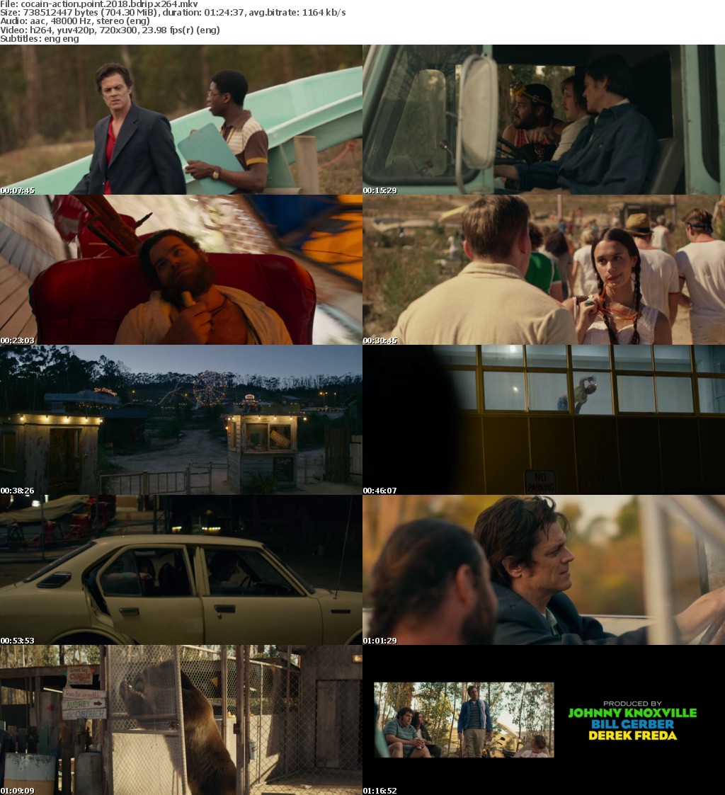 Action Point (2018) BDRip x264-COCAIN