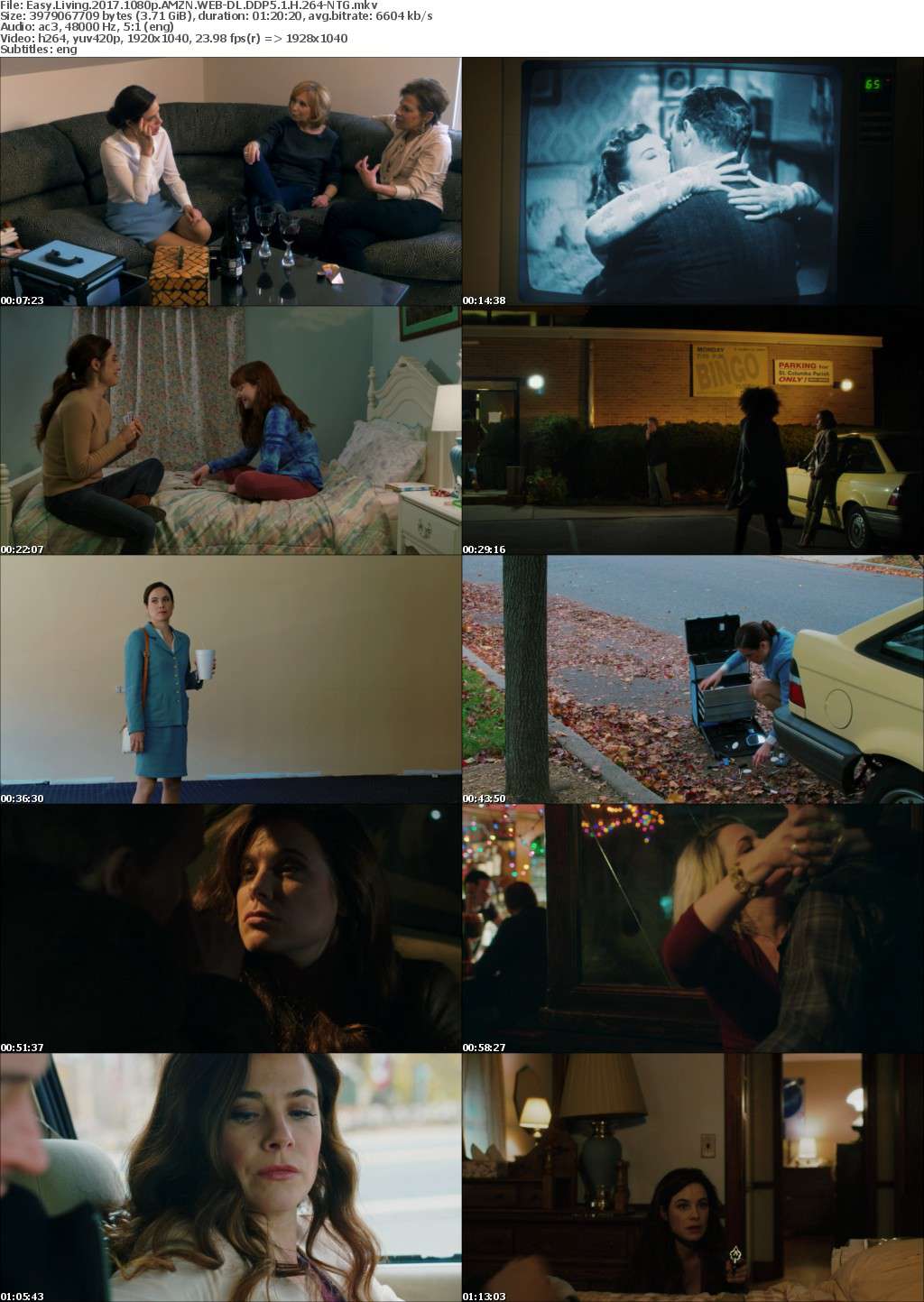 - Easy Living 2017 1080p AMZN WEB-DL DDP5 1 H 264-NTG
