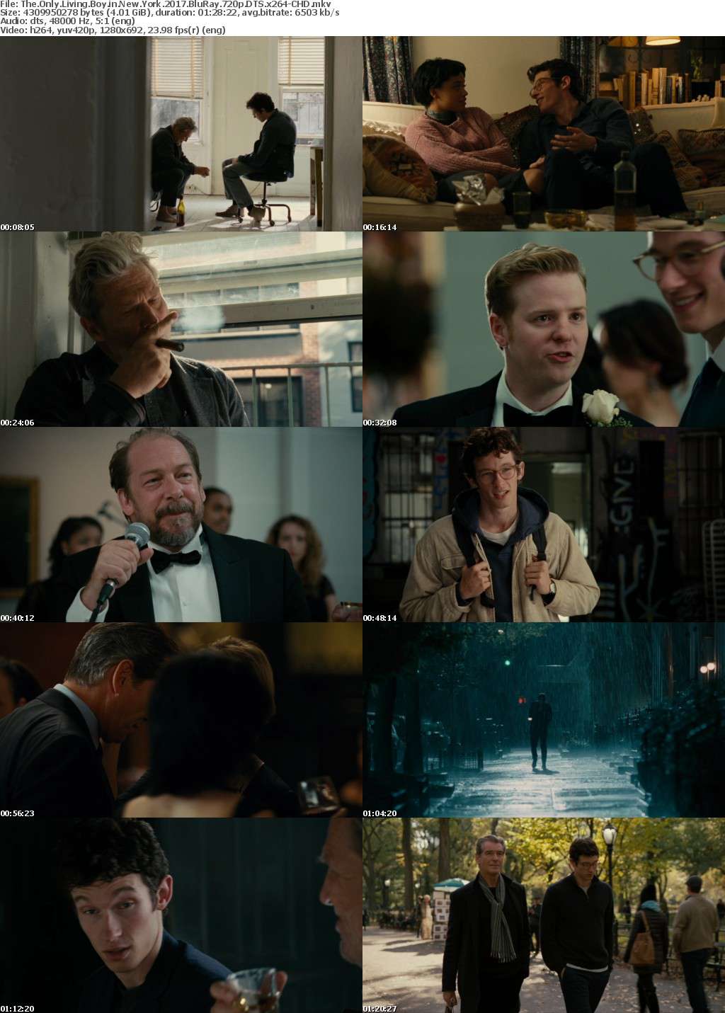 The Only Living Boy in New York (2017) BluRay 720p DTS x264-CHD