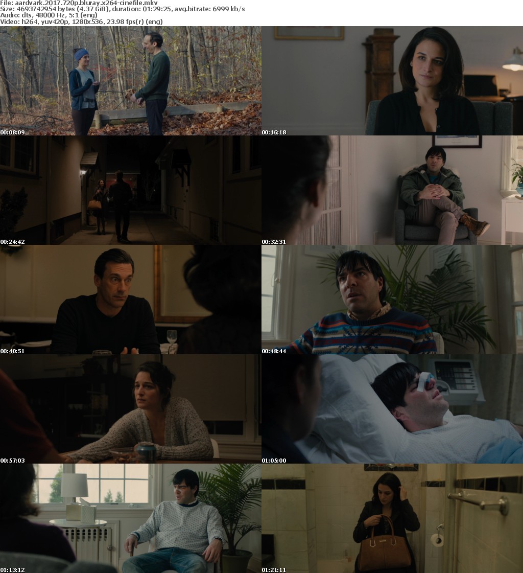 Aardvark (2017) 720p BluRay x264-CiNEFiLE