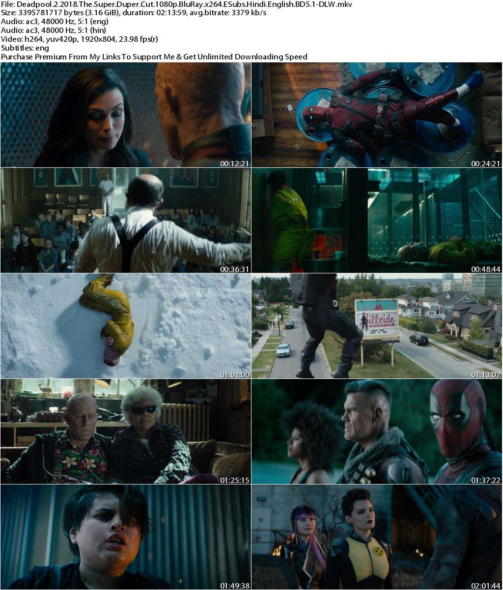 Deadpool 2 (2018)  The Super Duper Cut 1080p BluRay x264 ESubs [Hindi+English] BD5.1-DLW