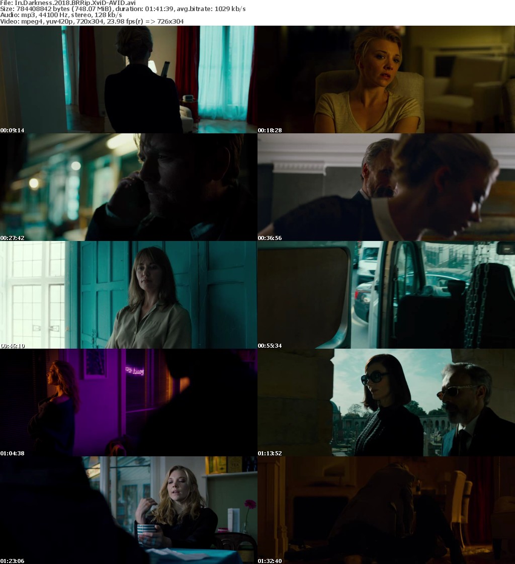 In Darkness (2018) BRRip XviD-AVID