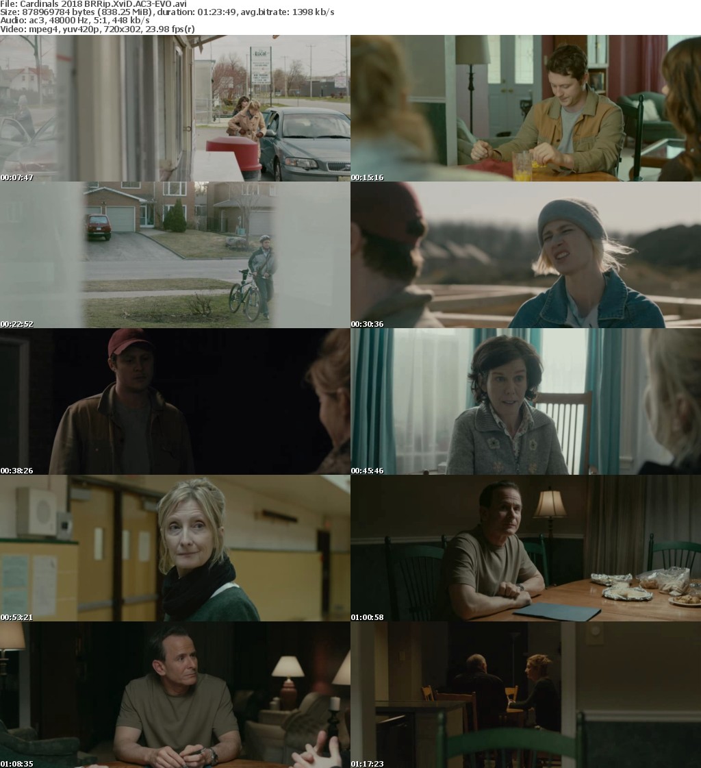 Cardinals (2018) BRRip XviD AC3-EVO