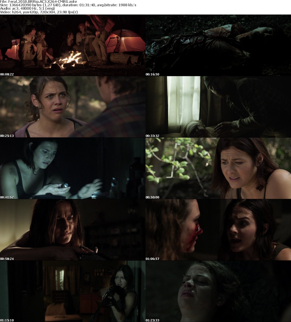 Feral (2017) BRRip AC3 X264-CMRG