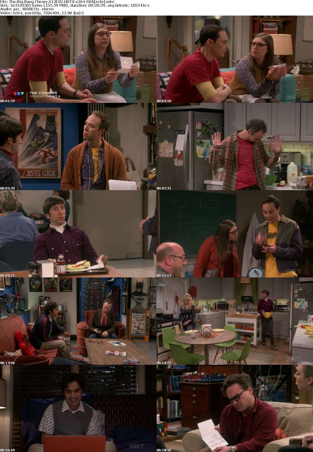 The Big Bang Theory S12E02 HDTV x264-SVA The Big Bang Theory S12E02 HDTV x264-SVA
