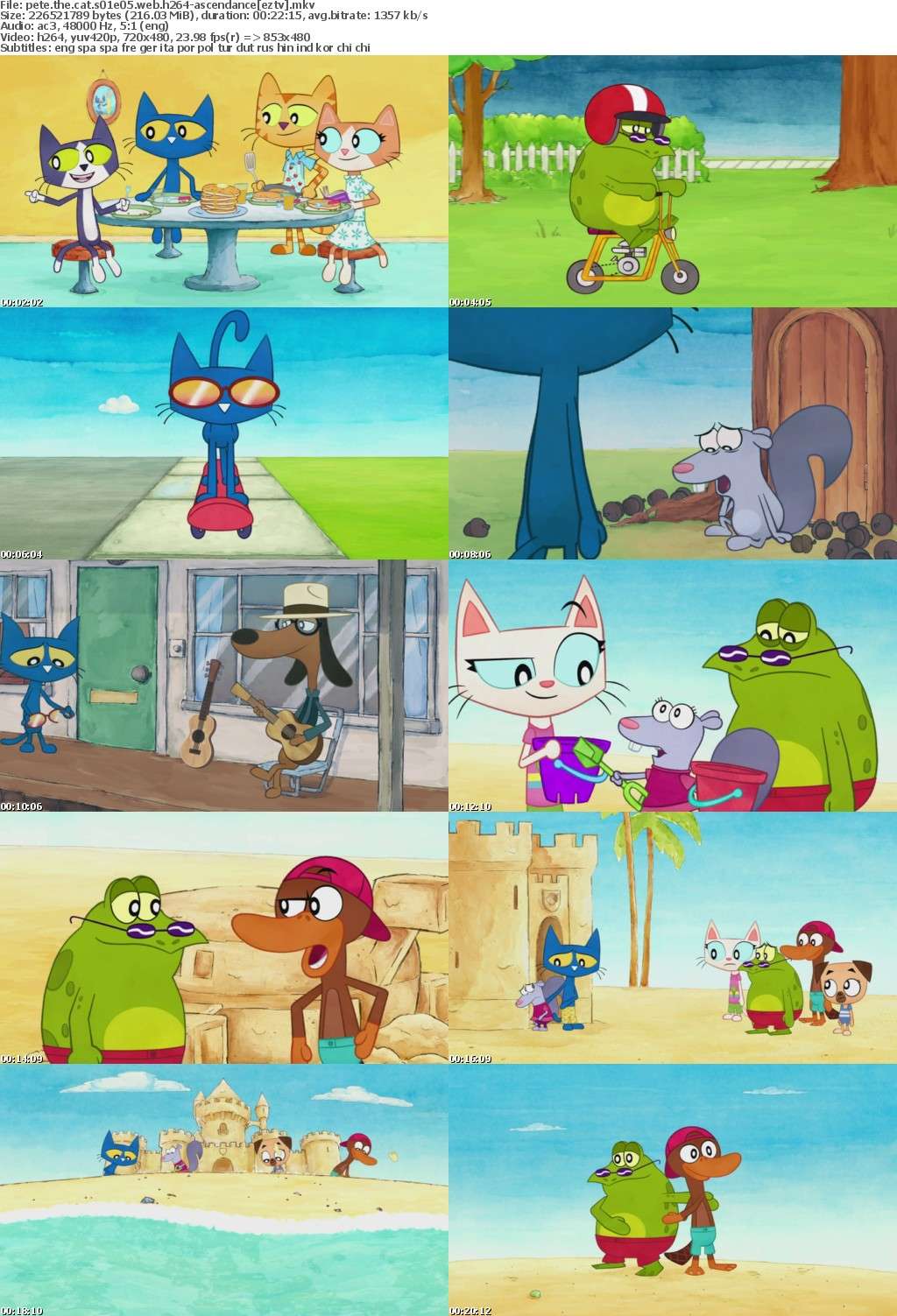 Pete The Cat S01E05 WEB h264-ASCENDANCE