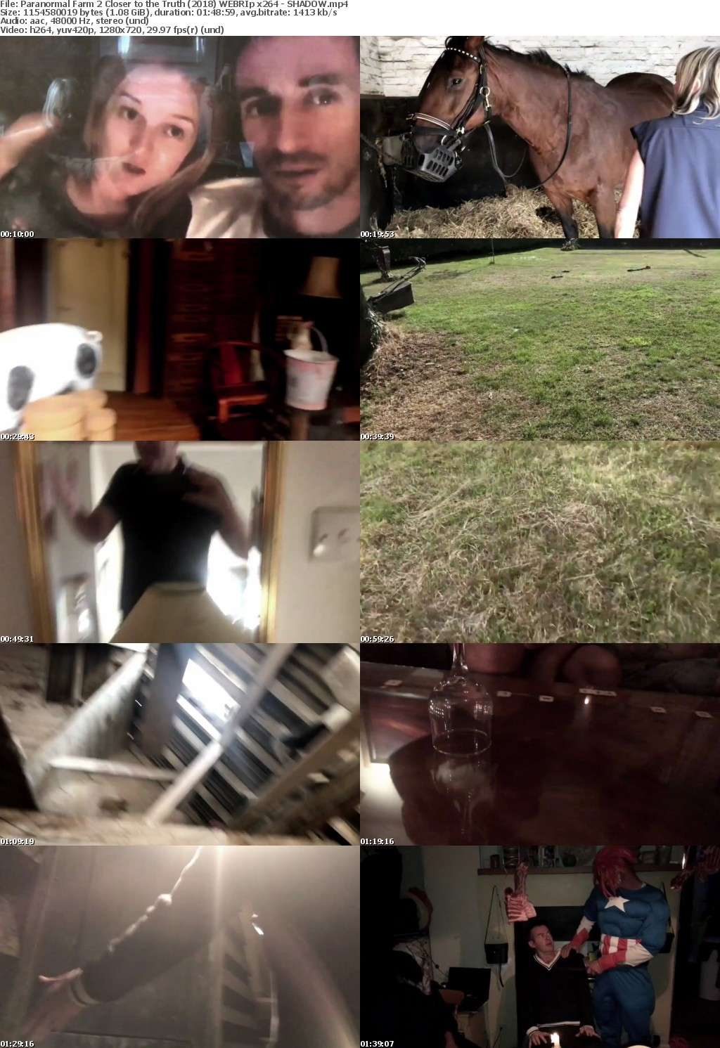 Paranormal Farm 2 Closer to the Truth (2018) WEBRIp x264 - SHADOW