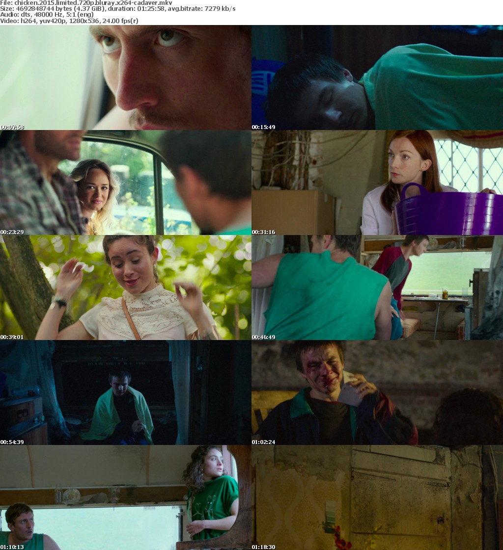 Chicken (2015) LiMiTED 720p BluRay x264-CADAVER