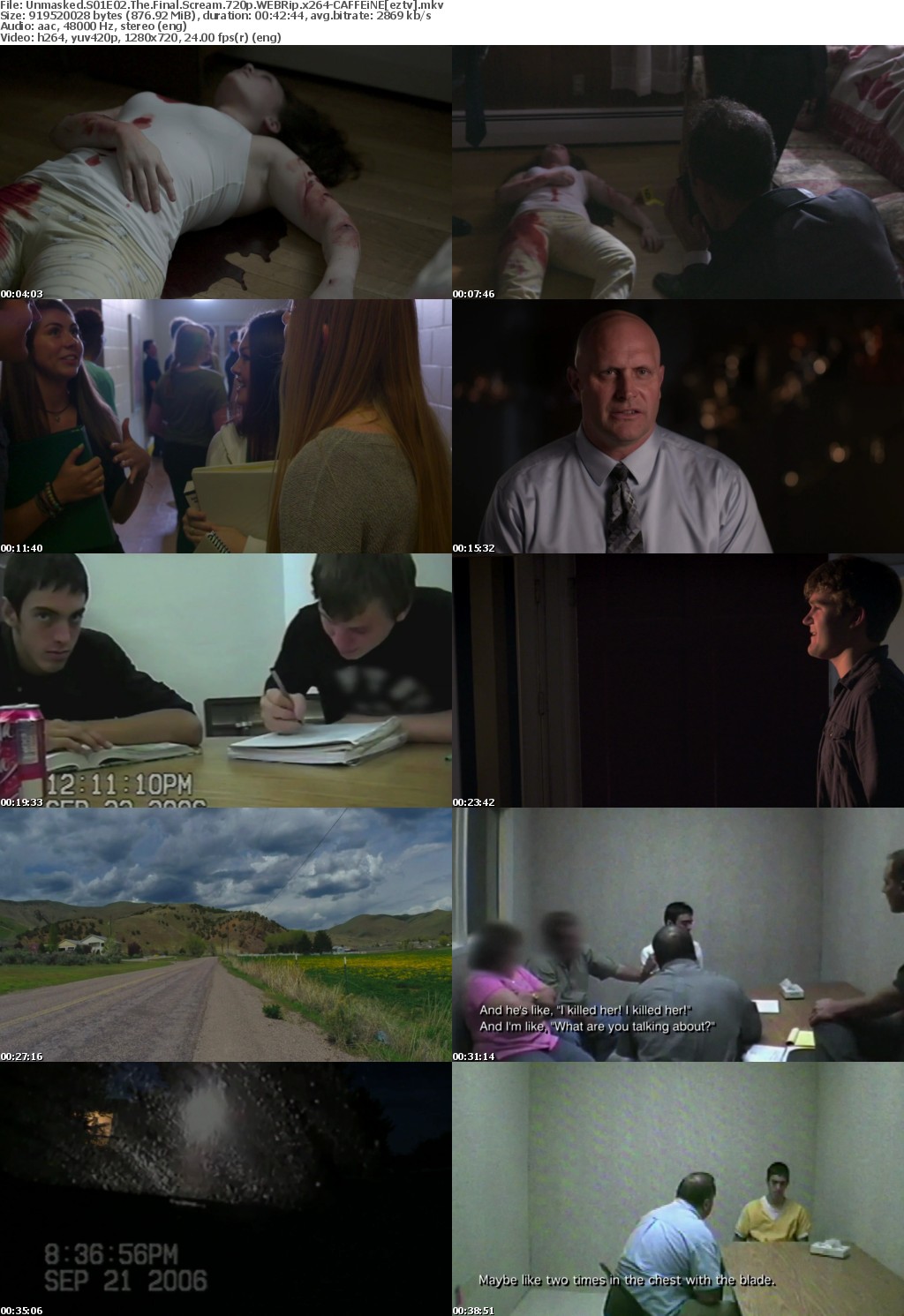 Unmasked S01E02 The Final Scream 720p WEBRip x264-CAFFEiNE