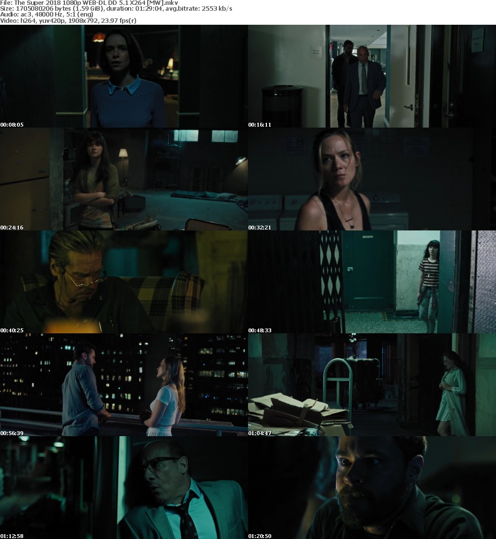 The Super (2018) 1080p WEB-DL DD 5.1 X264 MW