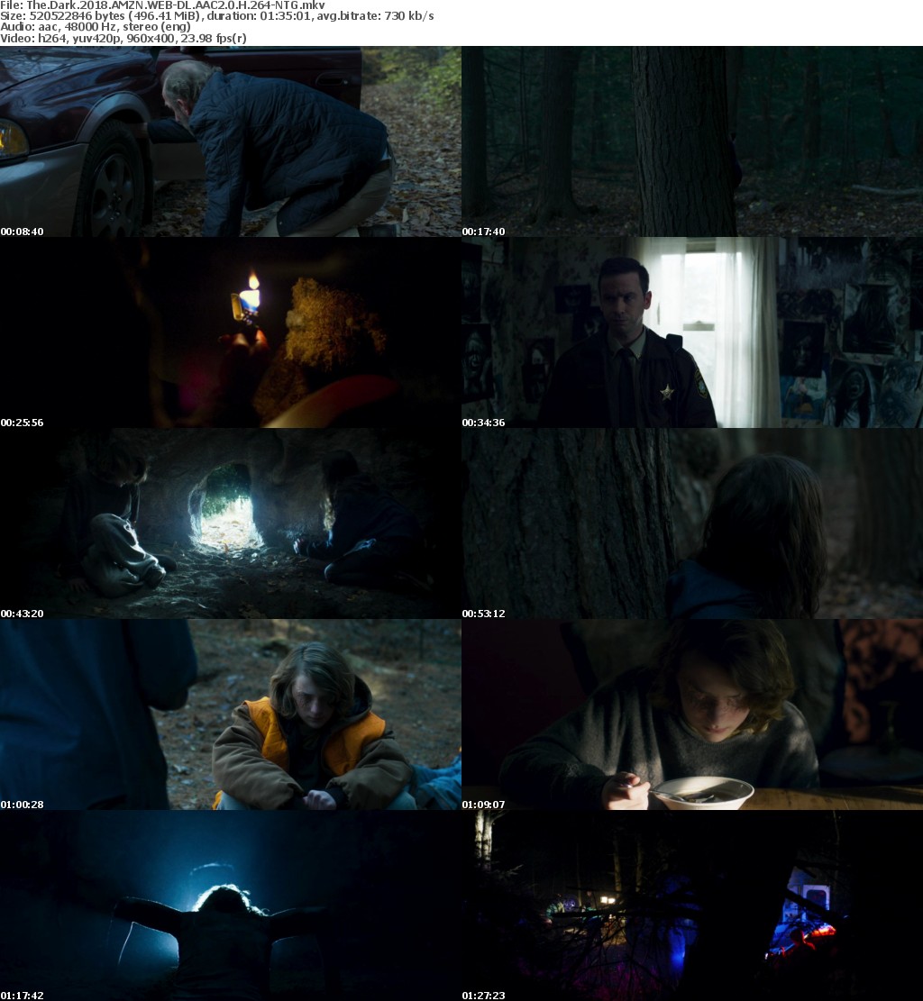 The Dark (2018) AMZN WEB-DL AAC2.0 H264-NTG