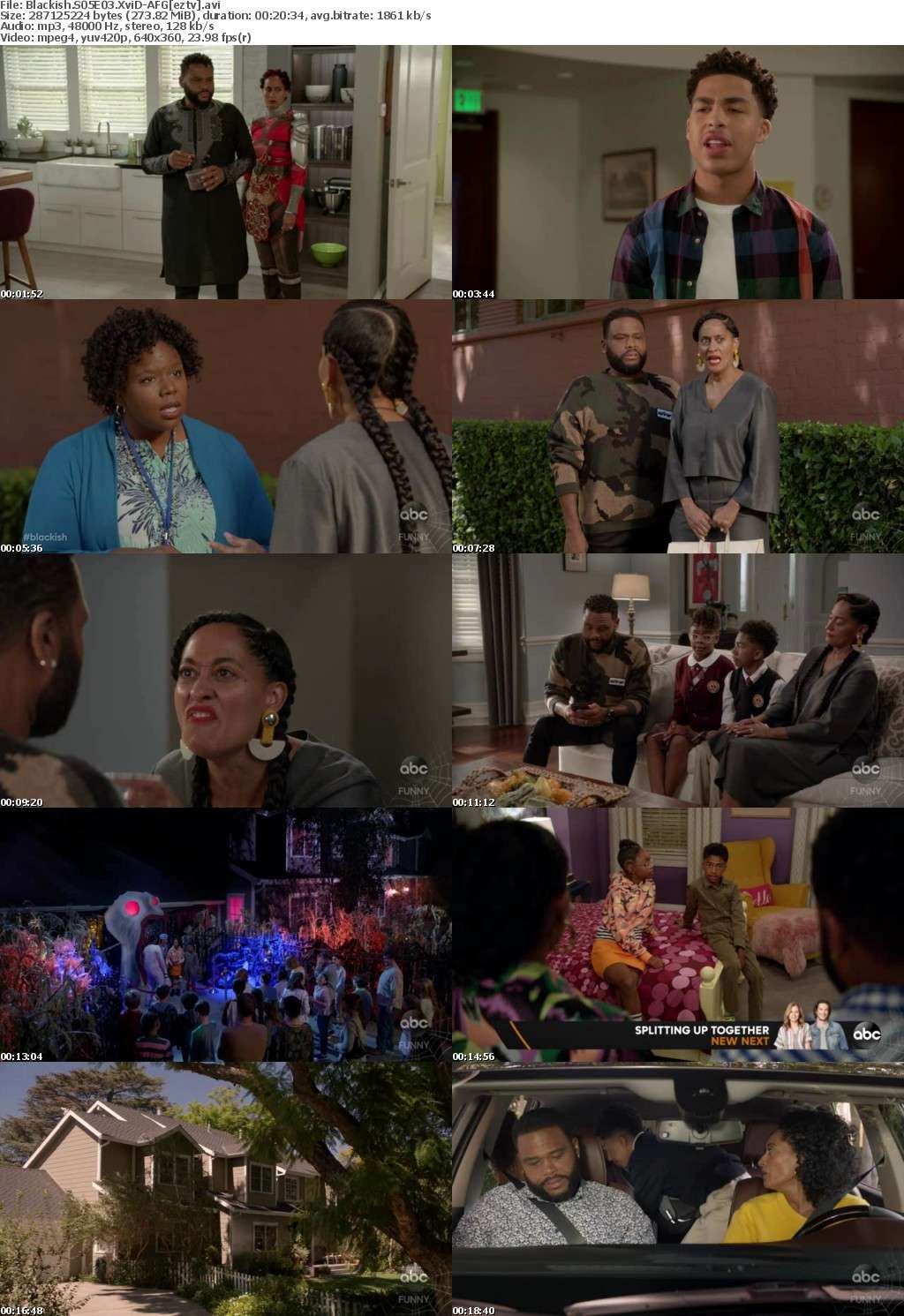 Blackish S05E03 XviD-AFG