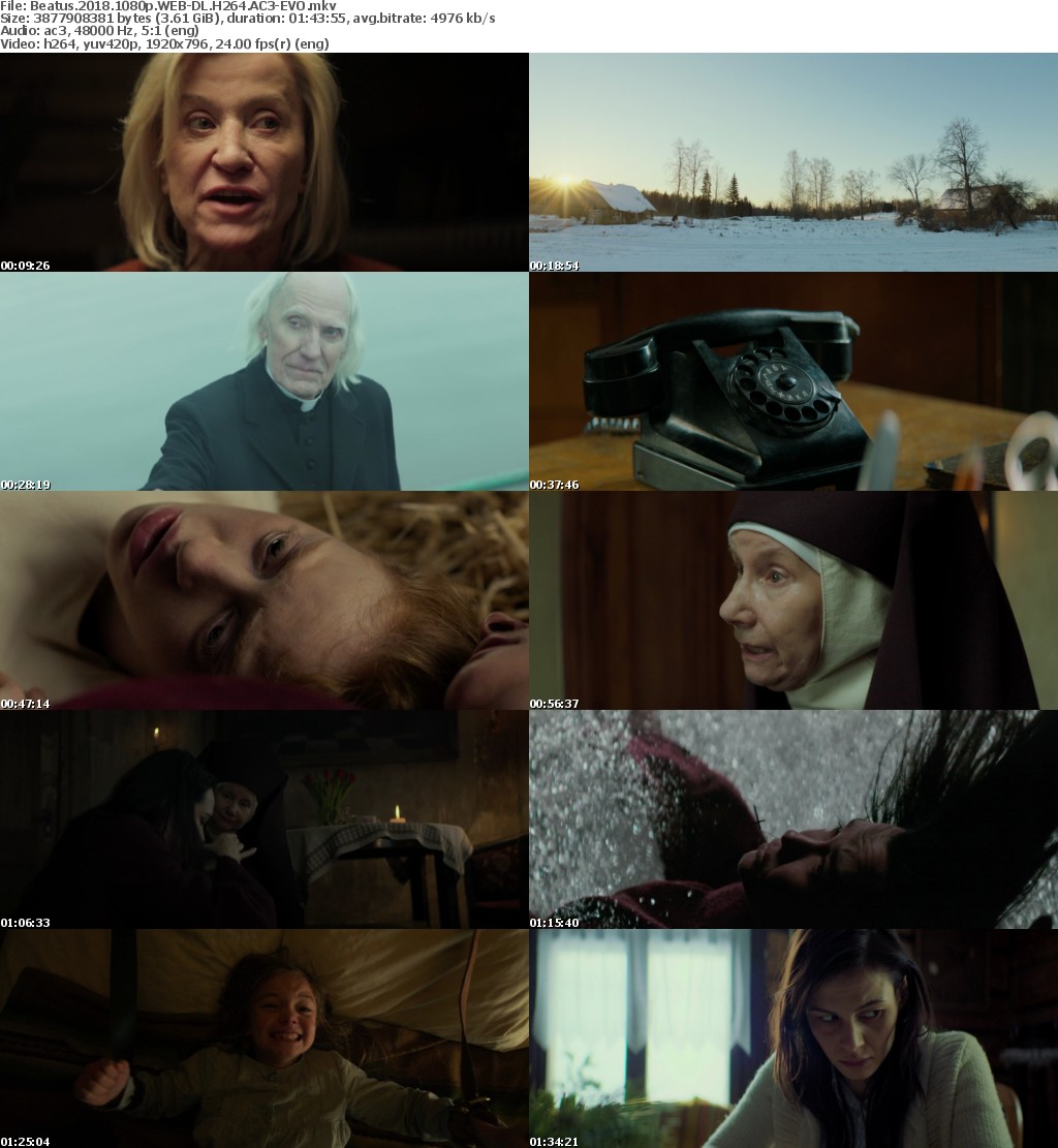 Beatus (2018) 1080p WEB-DL H264 AC3-EVO