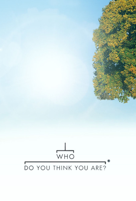 Who Do You Think You Are US S11E03 Regina King 480p x264-mSD