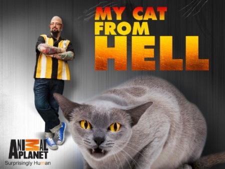My Cat From Hell S08E06 Brooklyn Cat Fight WEB x264-GIMINI