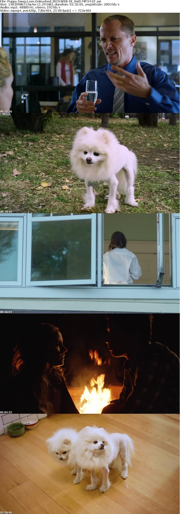 Puppy Swap Love Unleashed 2019 WEB-DL XviD MP3-FGT Puppy Swap Love Unleashed 2019 WEB-DL XviD MP3-FGT