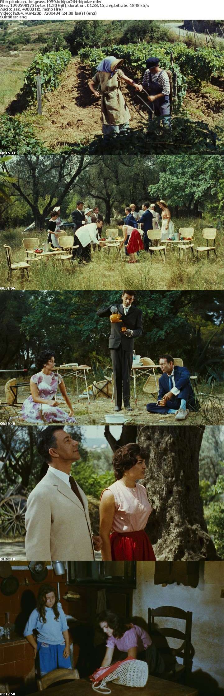 Picnic on the Grass 1959 BDRip x264-BiPOLAR Picnic on the Grass 1959 BDRip x264-BiPOLAR
