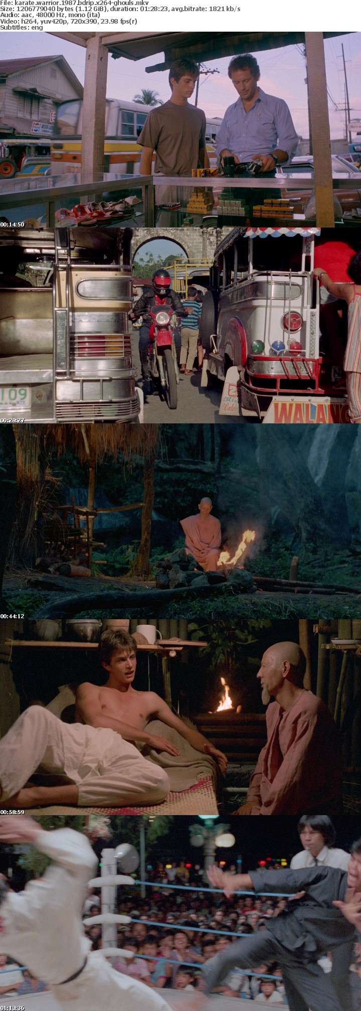 Karate Warrior 1987 BDRip x264-GHOULS Karate Warrior 1987 BDRip x264-GHOULS