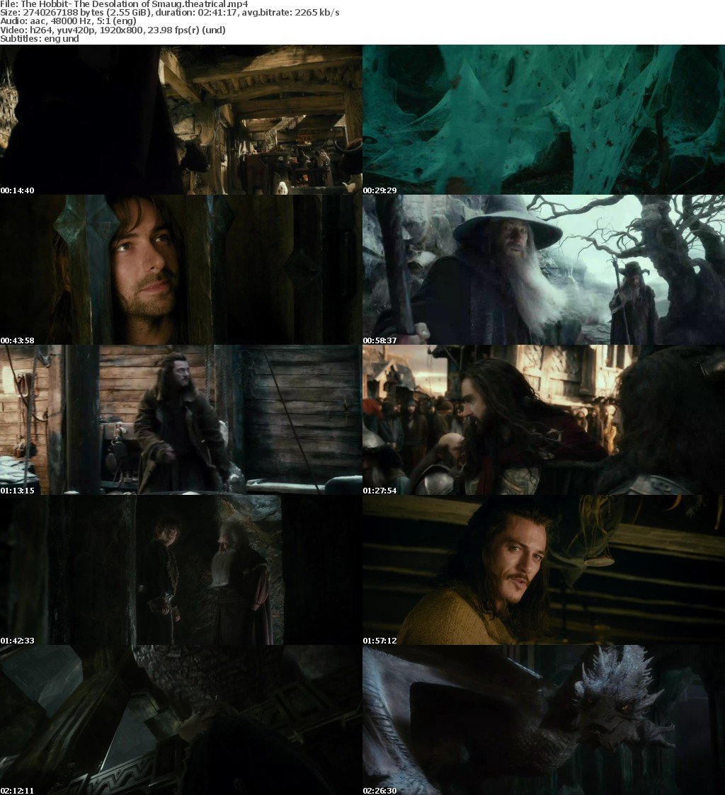 The Hobbit: The Desolation of Smaug (2013) 1080p BluRay x264 AAC-DSD
