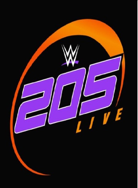 WWE 205 Live 2020 05 08 480p x264-mSD