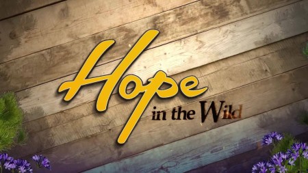Hope in the Wild S02E24 Raccoon Adoption Agency 480p x264-mSD