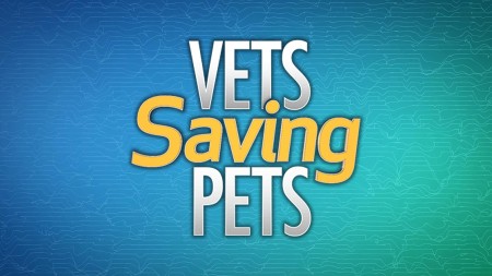 Vets Saving Pets S02E19 A Leg to Stand On 480p x264-mSD