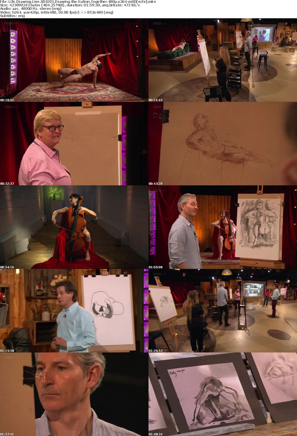 Life Drawing Live S01E01 Drawing the Nation Together 480p x264-mSD