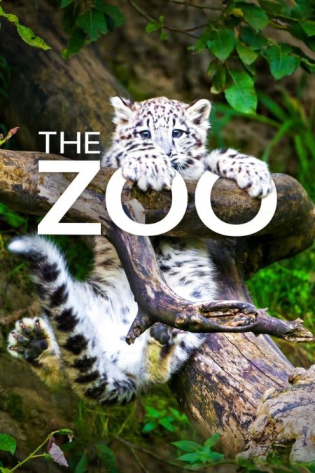 The Zoo US S04E09 Fawns Become Friends 480p x264-mSD