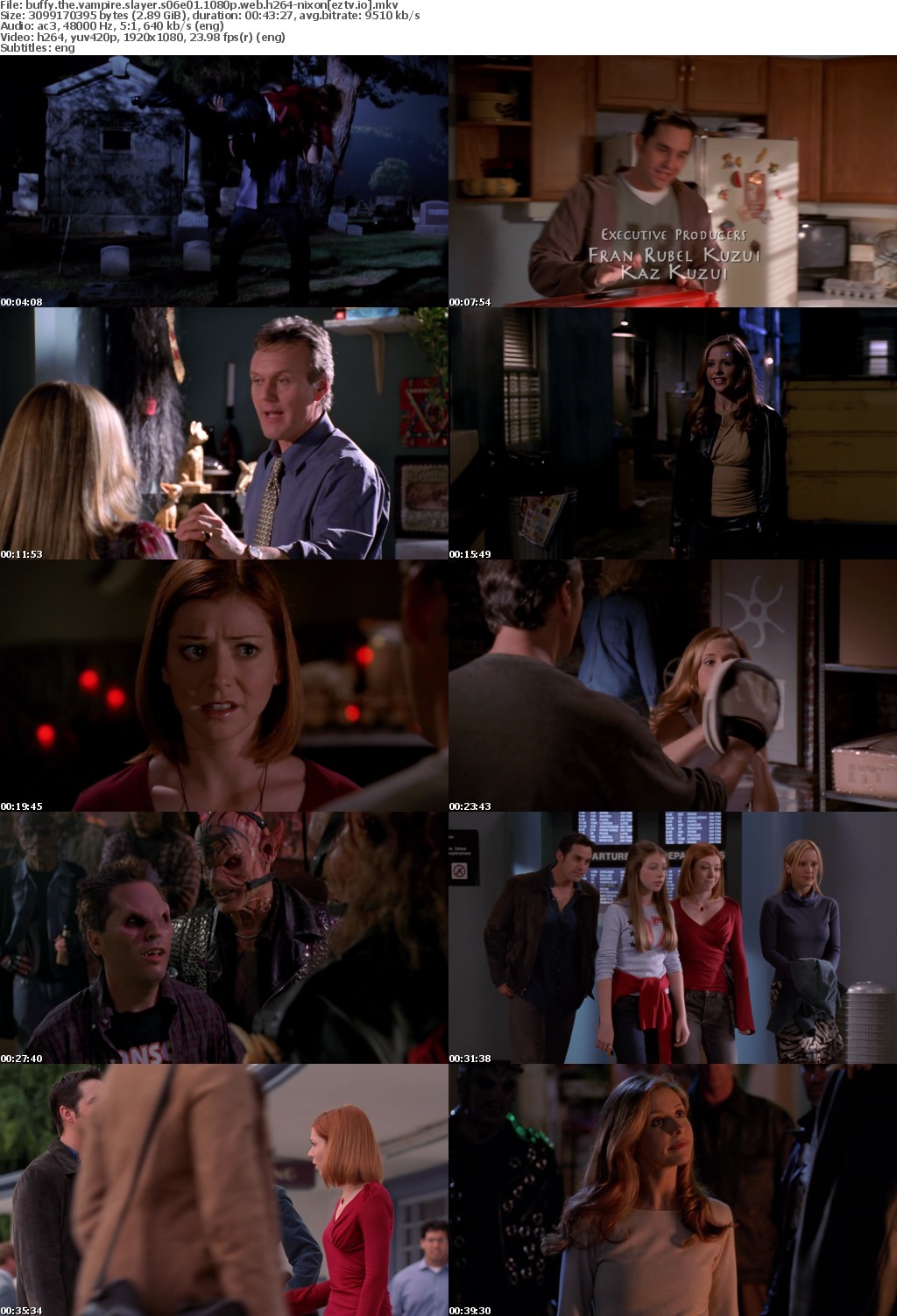 Buffy the Vampire Slayer S06E01 1080p WEB h264-NiXON