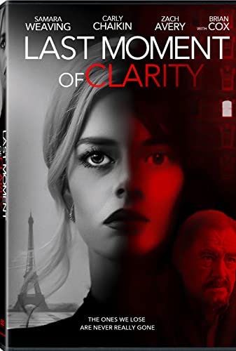 Last Moment of Clarity 2020 BRRip XviD MP3-XVID