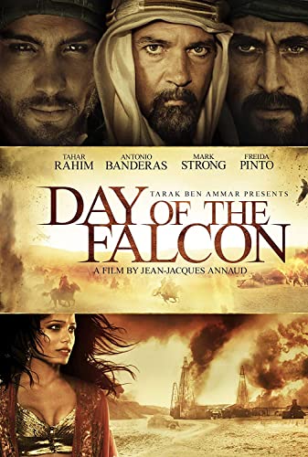 Day of the Falcon 2011 1080p BluRay x265-RARBG