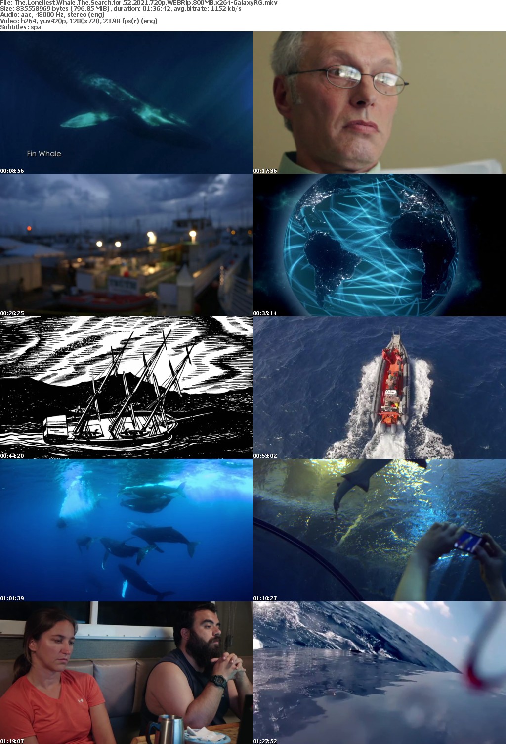 The Loneliest Whale The Search for 52 2021 720p WEBRip 800MB x264-GalaxyRG