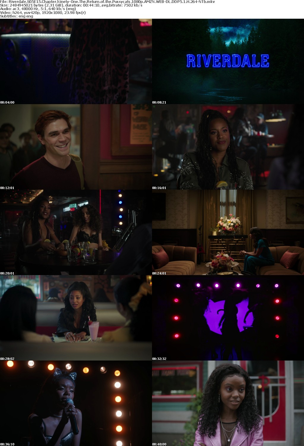 Riverdale US S05E15 Chapter Ninety-One The Return of the Pussycats 1080p AMZN WEBRip DDP5 1 x264-NTb